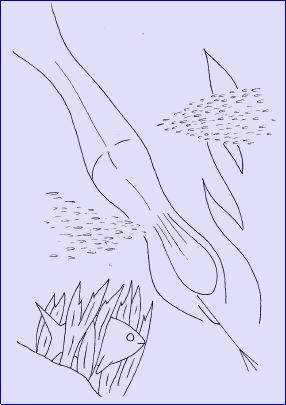 ...stripped to swim below...